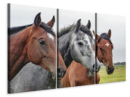 3-piece-canvas-print-the-horse-trio