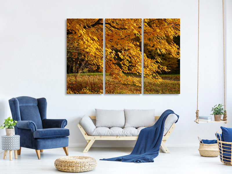 3-piece-canvas-print-the-magnificent-autumn-tree