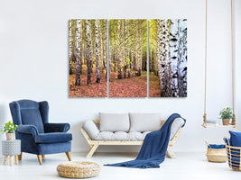 3-piece-canvas-print-the-path-between-birches