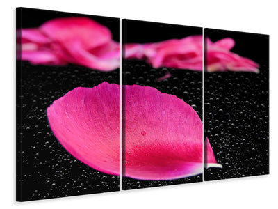 3-piece-canvas-print-the-petals