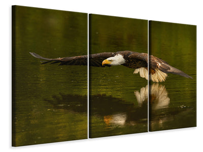 3-piece-canvas-print-the-reflective-pond