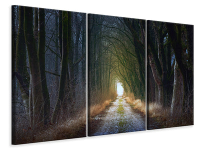 3-piece-canvas-print-the-tree-avenue