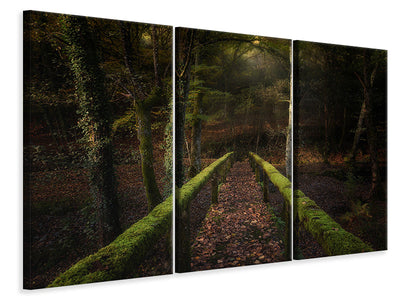 3-piece-canvas-print-the-way-to-the-forest