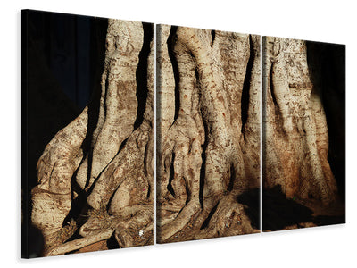 3-piece-canvas-print-tree-close-up