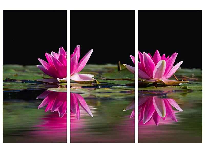 3-piece-canvas-print-water-lilies-duo-in-pink