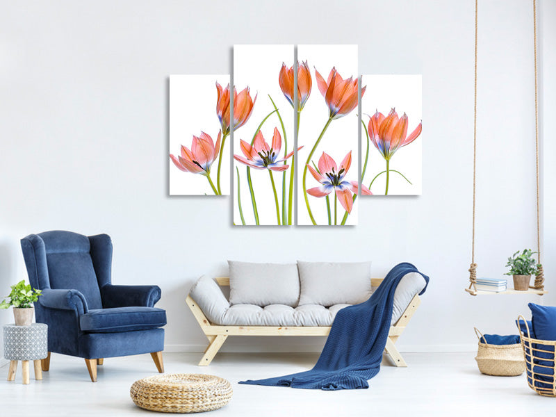 4-piece-canvas-print-apricot-tulips