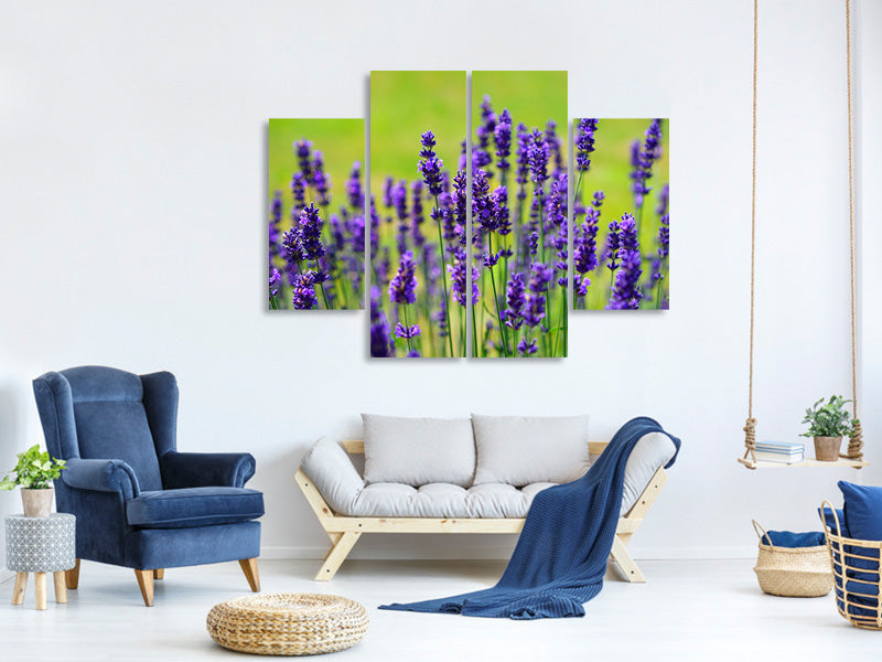 4-piece-canvas-print-beautiful-lavender