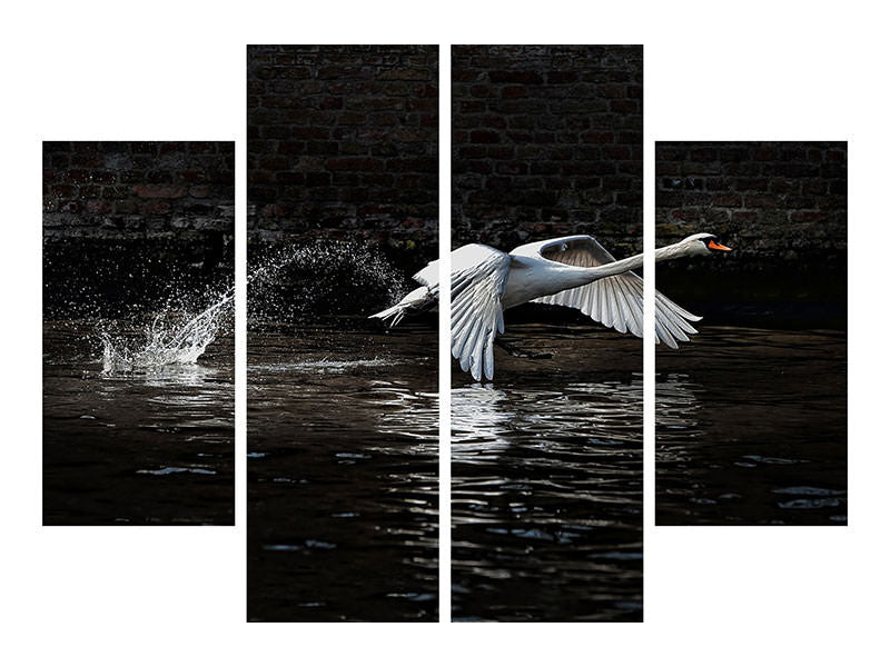 4-piece-canvas-print-flying-swan