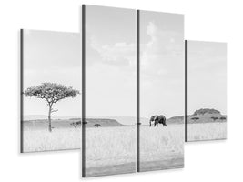 4-piece-canvas-print-high-key-savannah