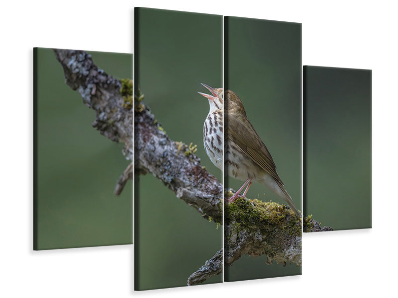 4-piece-canvas-print-in-the-forest-p