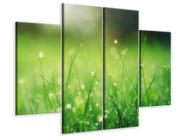 4-piece-canvas-print-meadow-with-morning-dew