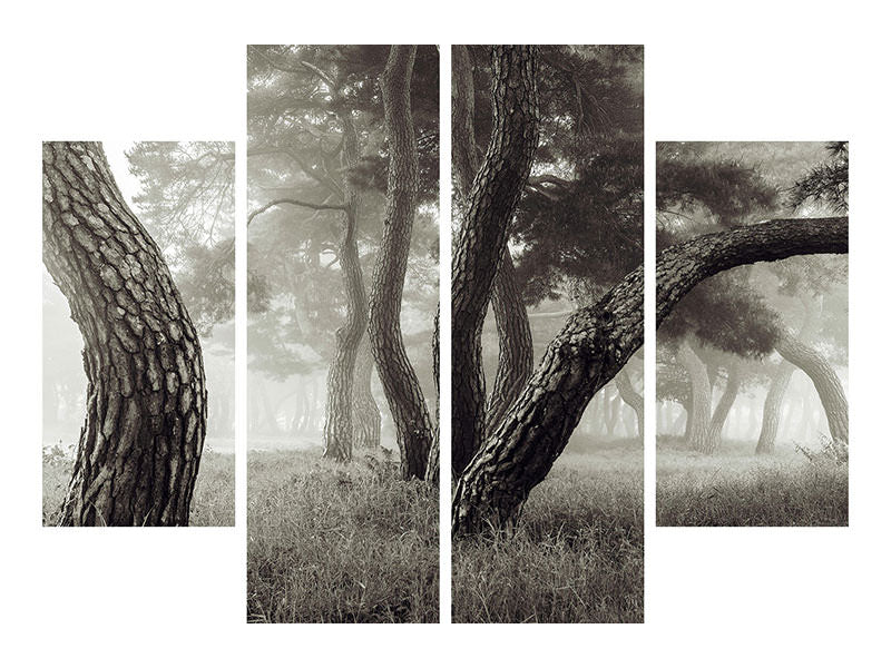 4-piece-canvas-print-pine-grove-in-fog