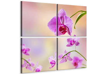 4-piece-canvas-print-romantic-orchids