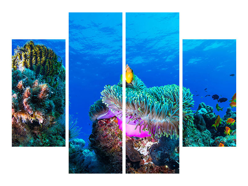 4-piece-canvas-print-sea-life