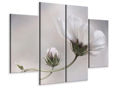 4-piece-canvas-print-simply-cosmos