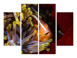 4-piece-canvas-print-skunk-clownfish