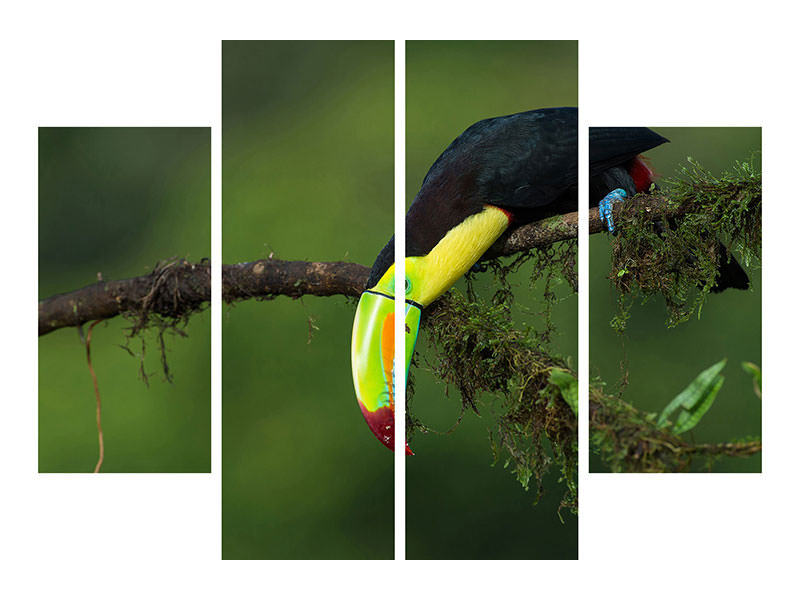 4-piece-canvas-print-the-colors-of-costa-rica