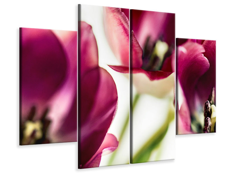 4-piece-canvas-print-tulip-iv