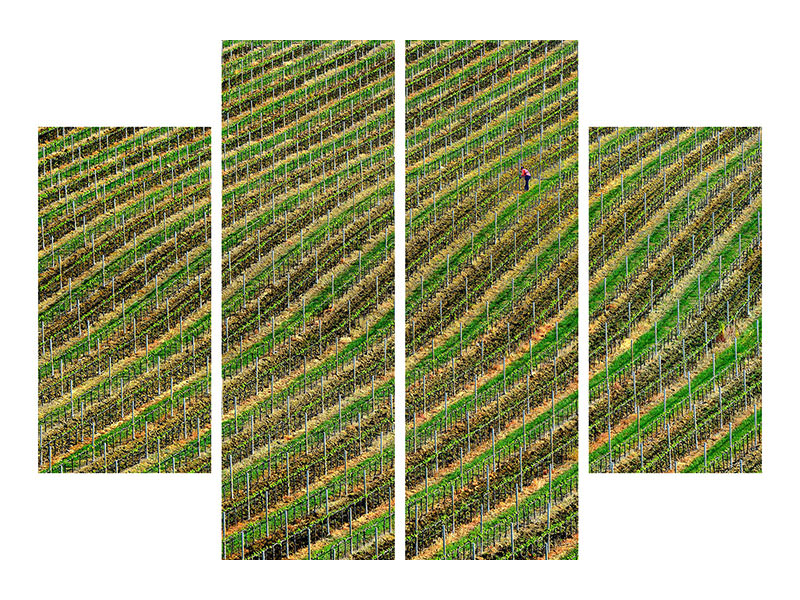 4-piece-canvas-print-vineyard