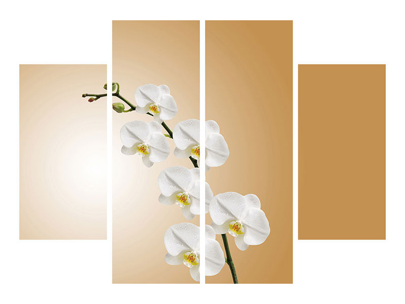 4-piece-canvas-print-white-orchids-xl
