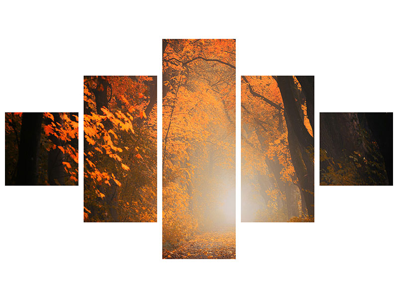 5-piece-canvas-print-autumn-light-in-the-forest