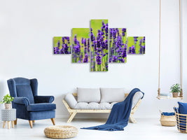 5-piece-canvas-print-beautiful-lavender