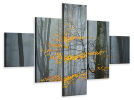 5-piece-canvas-print-beech-forest-in-autumn