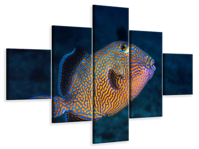 5-piece-canvas-print-blue-triggerfish