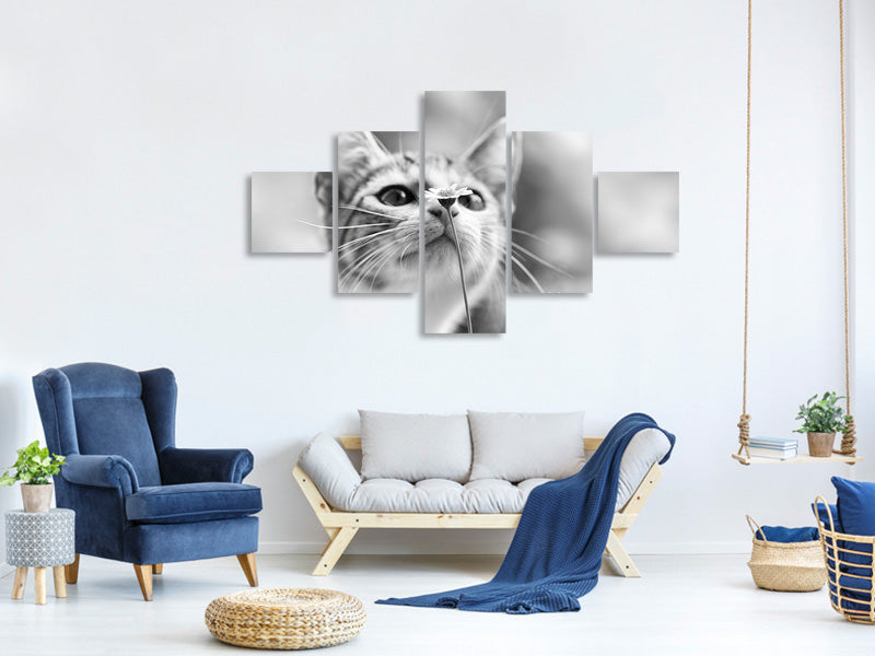 5-piece-canvas-print-curious