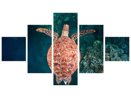 5-piece-canvas-print-flying-over-the-reef