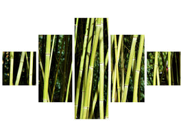 5-piece-canvas-print-fresh-bamboo