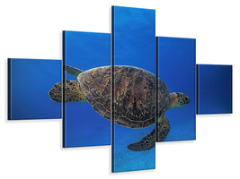 5-piece-canvas-print-green-turtle-in-the-blue