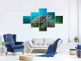 5-piece-canvas-print-green-turtle