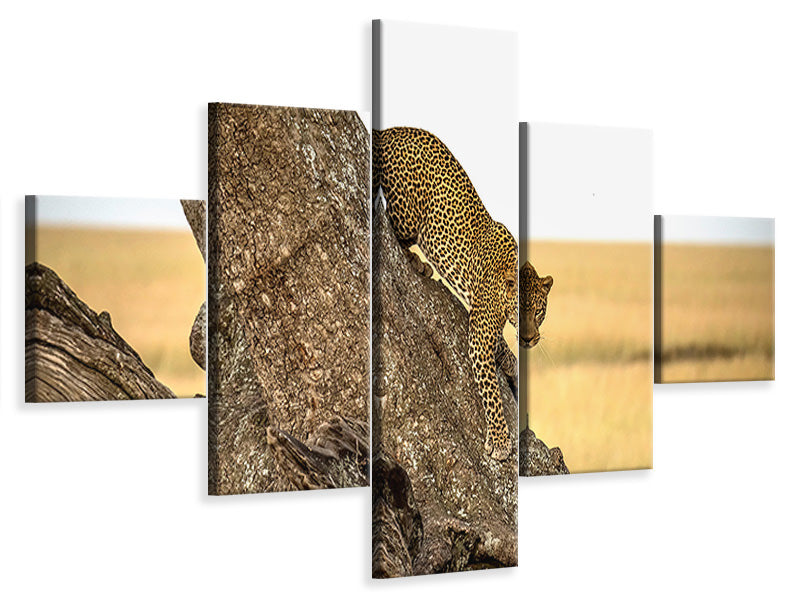 5-piece-canvas-print-leopard-serengheti-tanzania