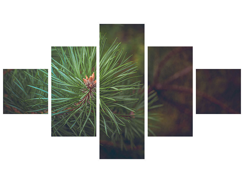 5-piece-canvas-print-pine-tree-close-up