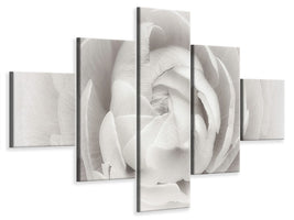 5-piece-canvas-print-ranunculus