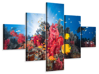 5-piece-canvas-print-reef-life