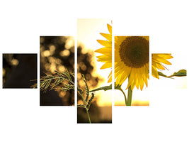 5-piece-canvas-print-sunflower-in-the-sunrise