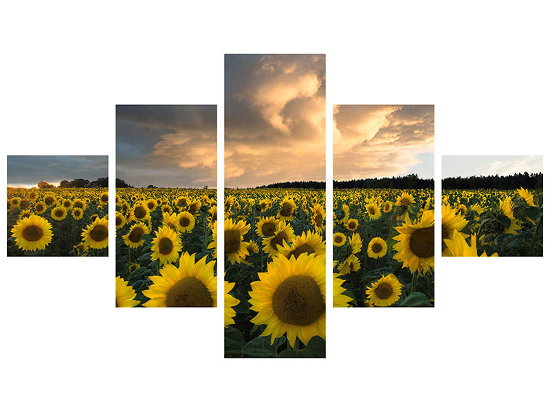 5-piece-canvas-print-sunflowers-in-sweden