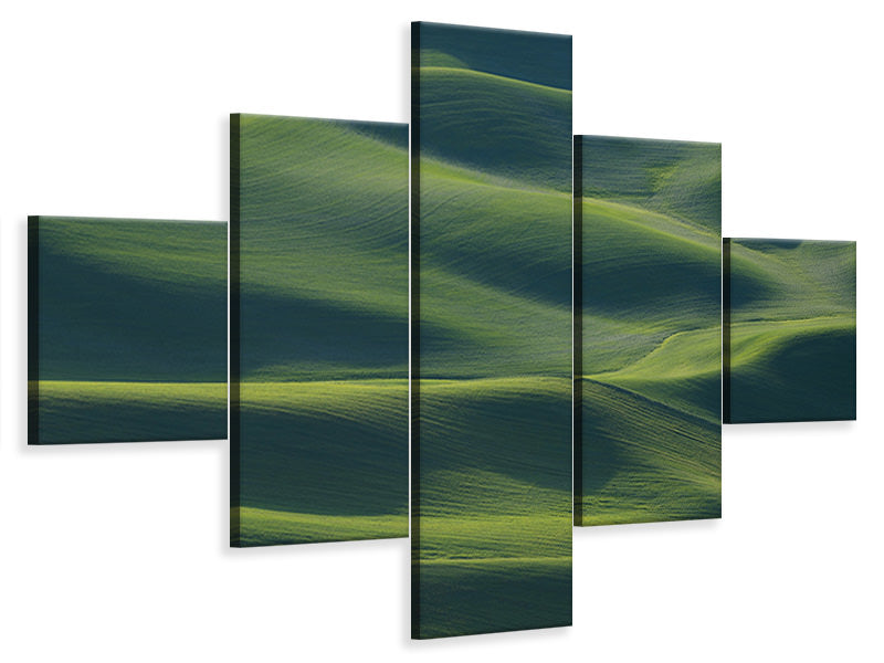 5-piece-canvas-print-the-earths-fine-skin