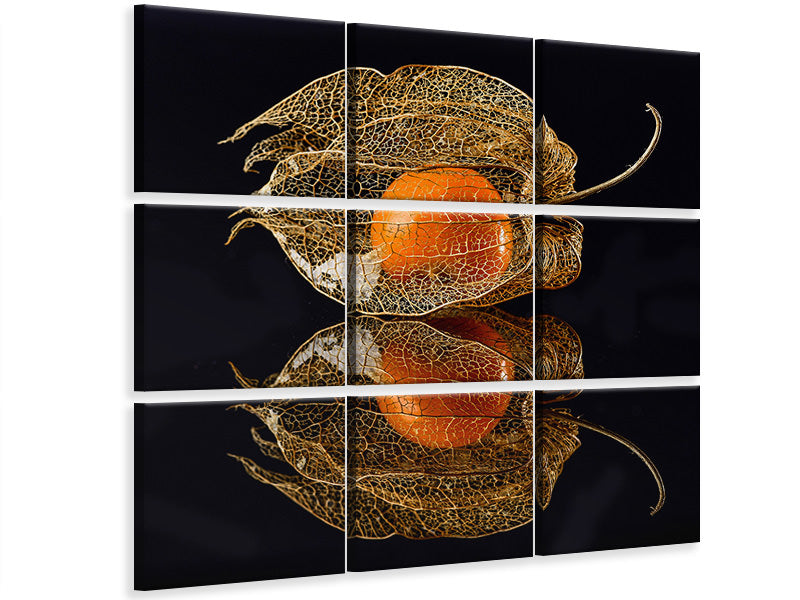 9-piece-canvas-print-physalis