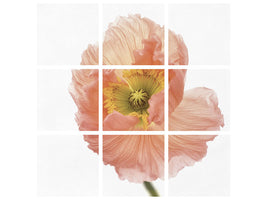 9-piece-canvas-print-poppy