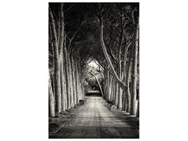 canvas-print-alley