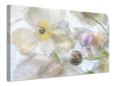 canvas-print-anemone-frost-x