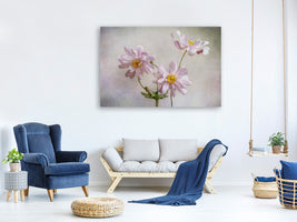 canvas-print-anemones