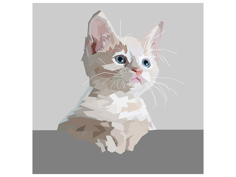 canvas-print-artwork-cat