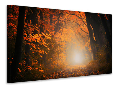canvas-print-autumn-light-in-the-forest