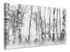 canvas-print-black-and-white