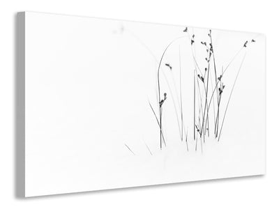 canvas-print-black-on-white