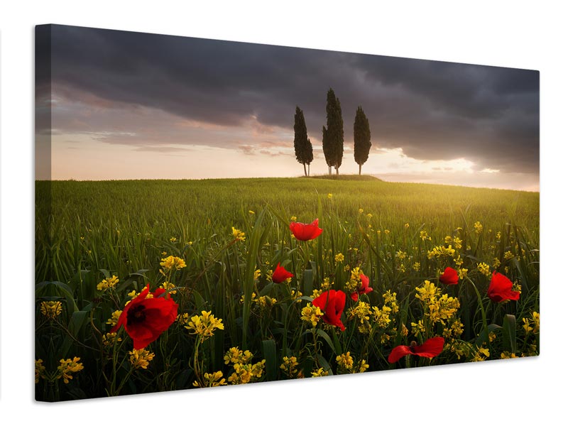 canvas-print-blooming-tuscany-x